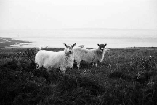 In Schottland heiraten