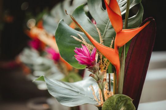 Tropisches Style Shooting