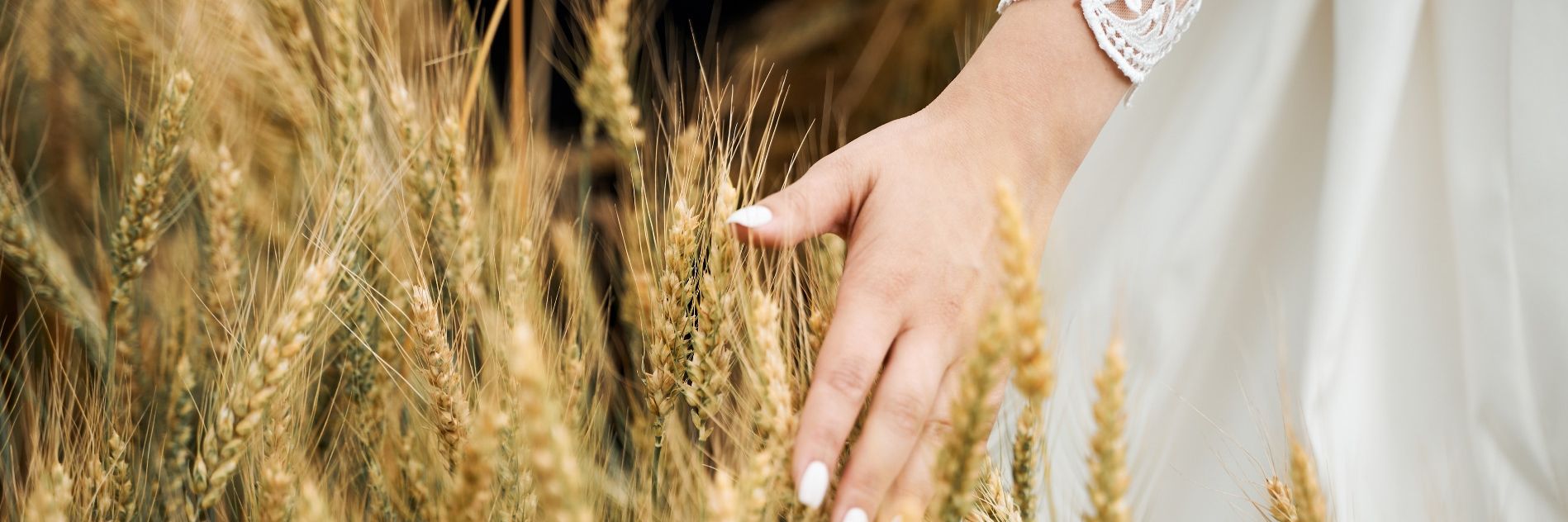 Hand Braut über Weizenfeld