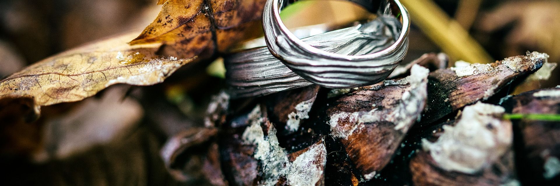 Ringe auf Blatt im Herbst